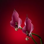 Royal Bell Nipple Clamps Jewelry - Metallic Floral Choker with Adjustable Silicone